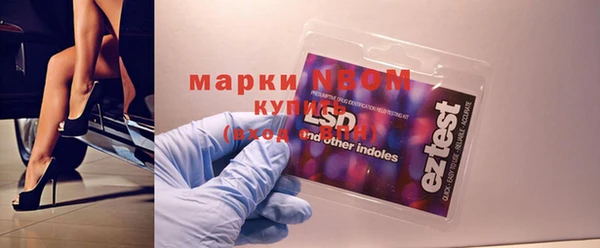 индика Баксан