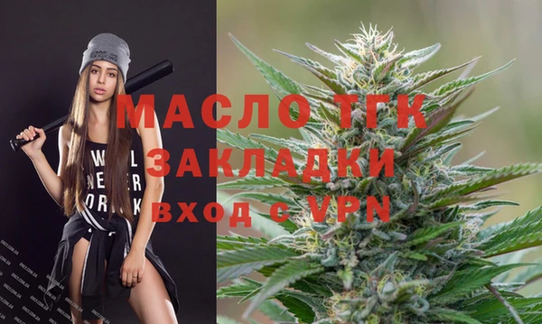 индика Баксан