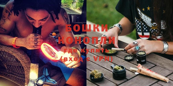 дживик Сатка