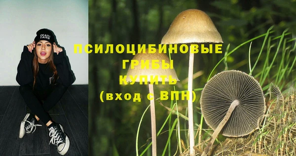 гидра Балабаново