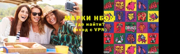 индика Баксан